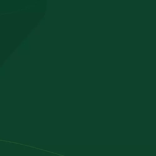 Hero-bg-1.webp